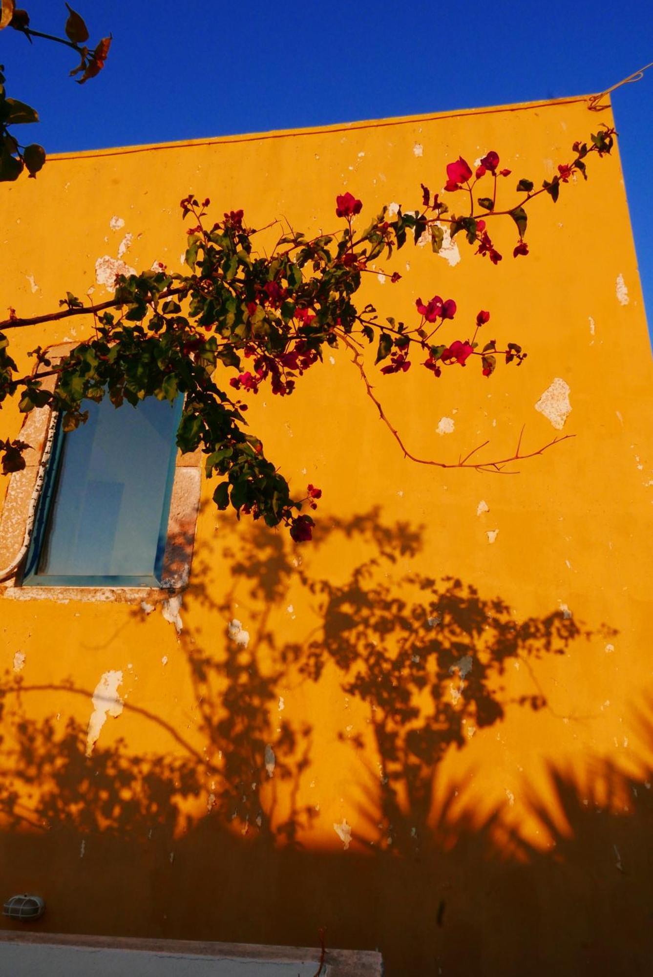 Elegeo Rockhouse Villa Agia Marina  Exterior photo